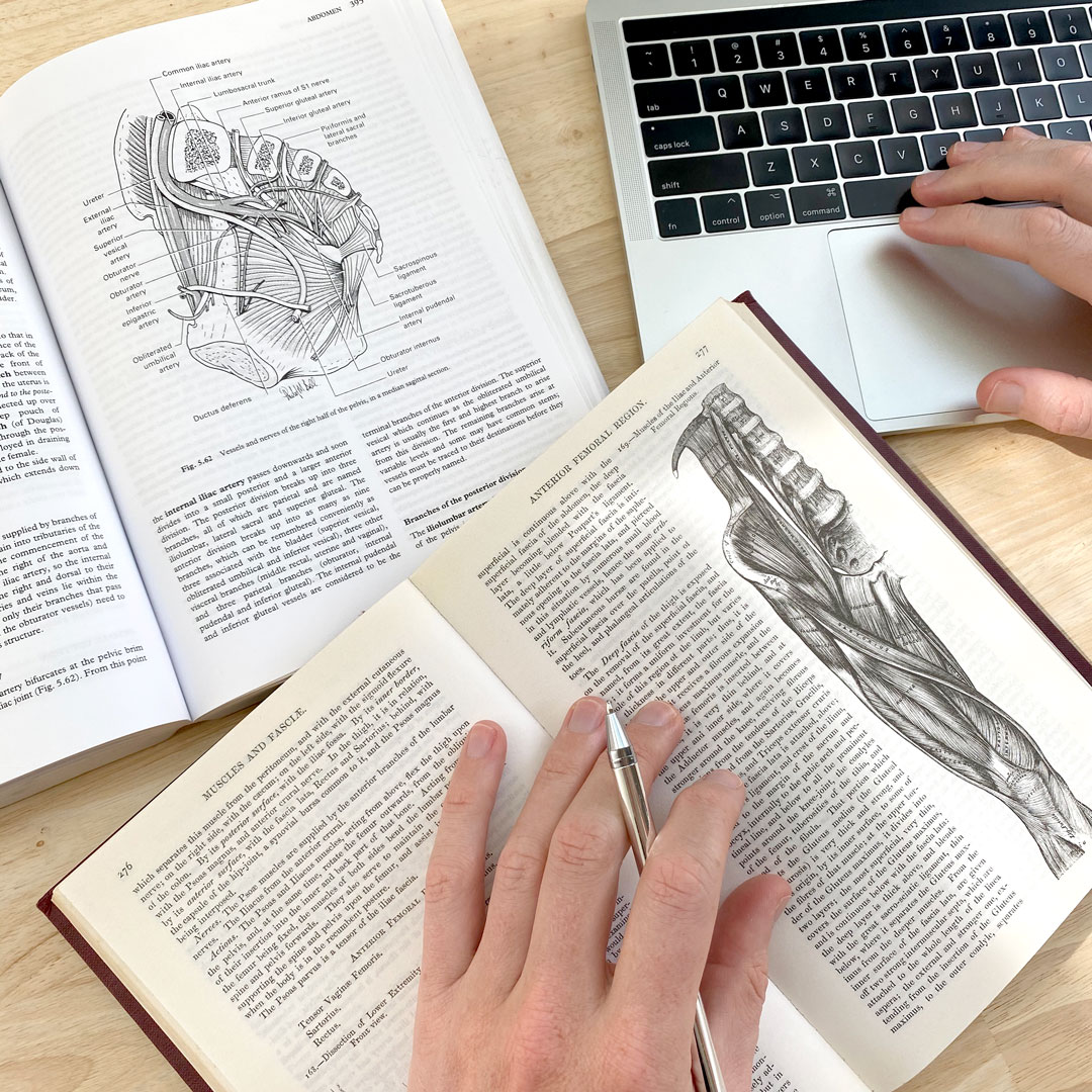 GSSE Study – Primary Anatomy