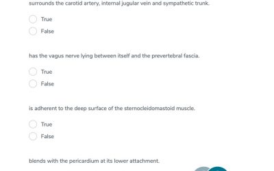 Head & neck GSSE practice question