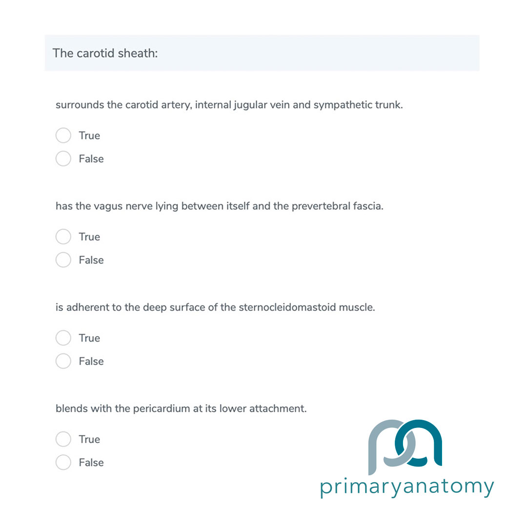 Head & neck GSSE practice question Screen shot of Primary Anatomy showing a Head & Neck practice question for the GSSE