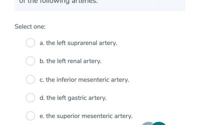 GSSE Question Type A