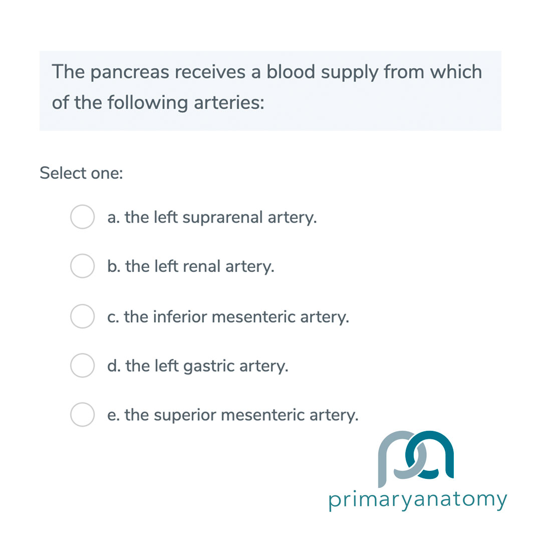 Example of a GSSE question type A