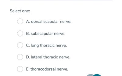 GSSE Question Type A – The Latissimus Dorsi