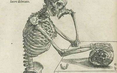Andreas Vesalius – Founder of modern human anatomy