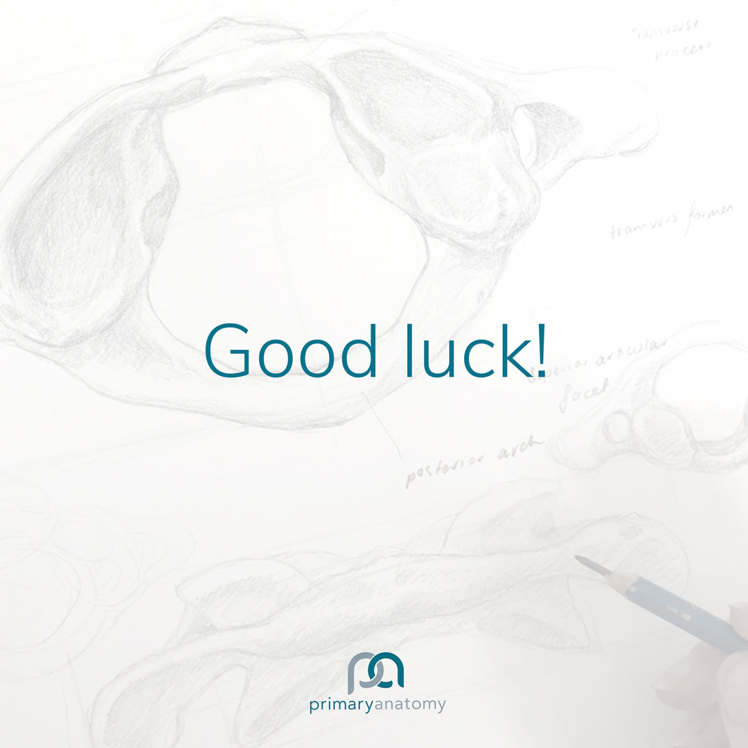 2020 GSSE - Good luck!