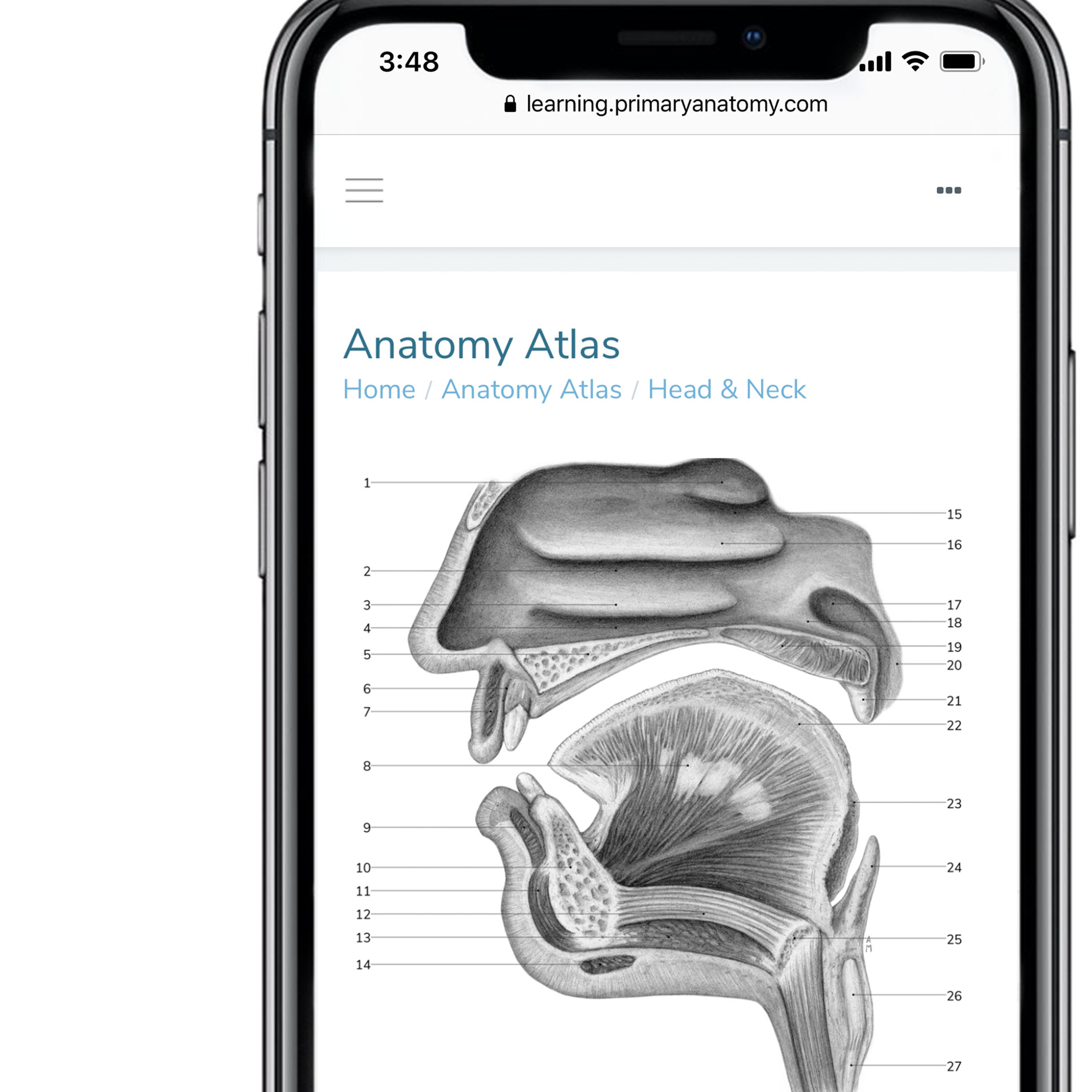 GSSE Anatomy Atlas GSSE Anatomy Atlas - Anatomical Illustrations enhancing RACS exam revision and study