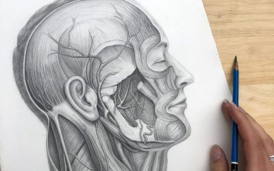 GSSE Spot Test Illustrations