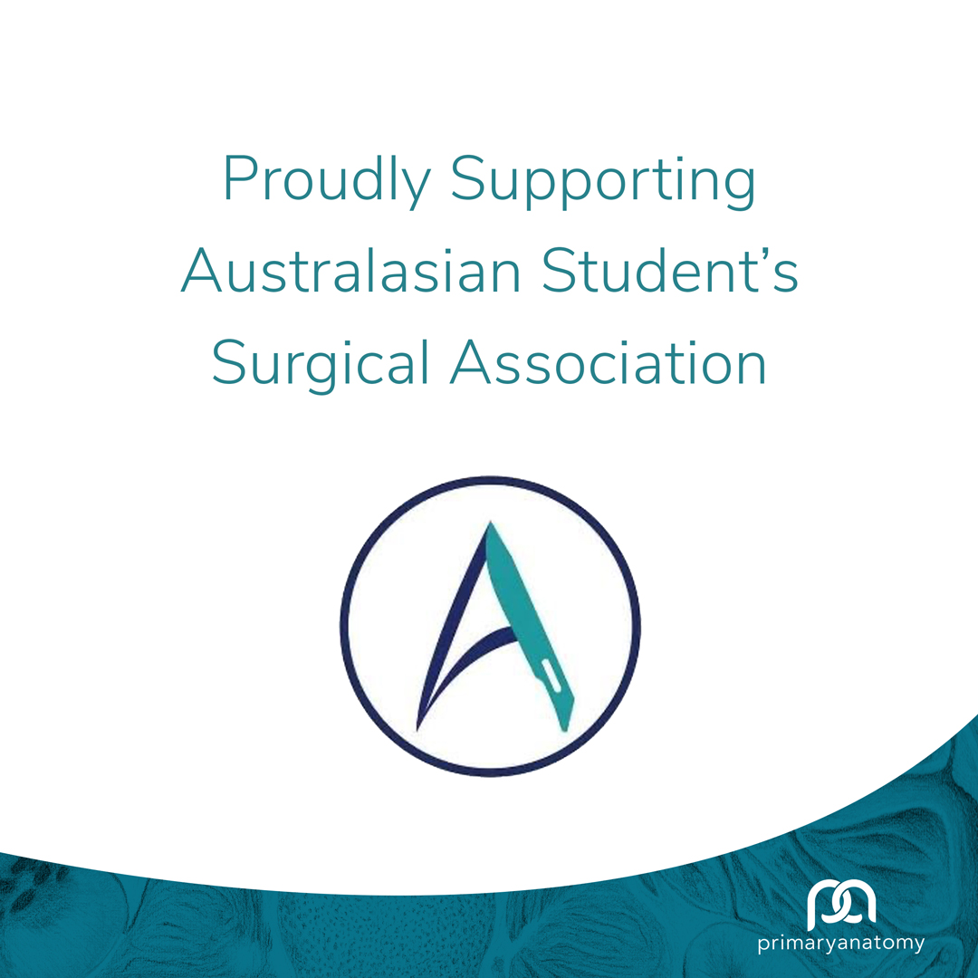 Primary-Anatomy-Supporting-ASSA-2021