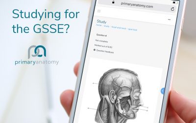 Studying for the GSSE