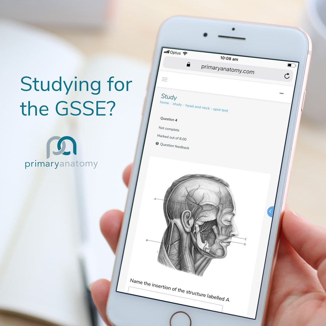 Primary Anatomy for the Generic Surgical Sciences Exam (GSSE)