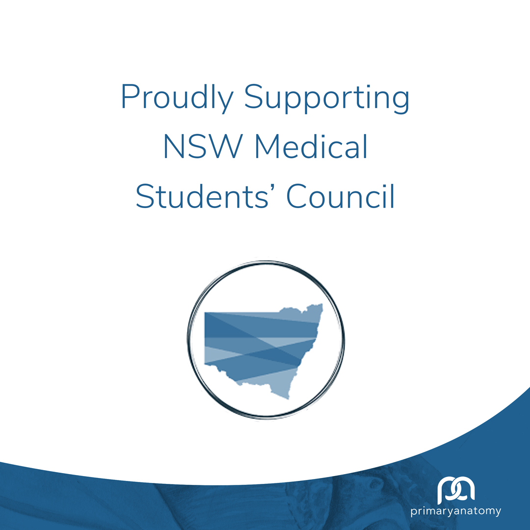 Primary-Anatomy-Supporting-NSW-MSC-2021