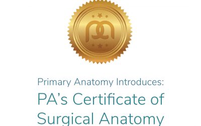 Certificate of Surgical Anatomy!