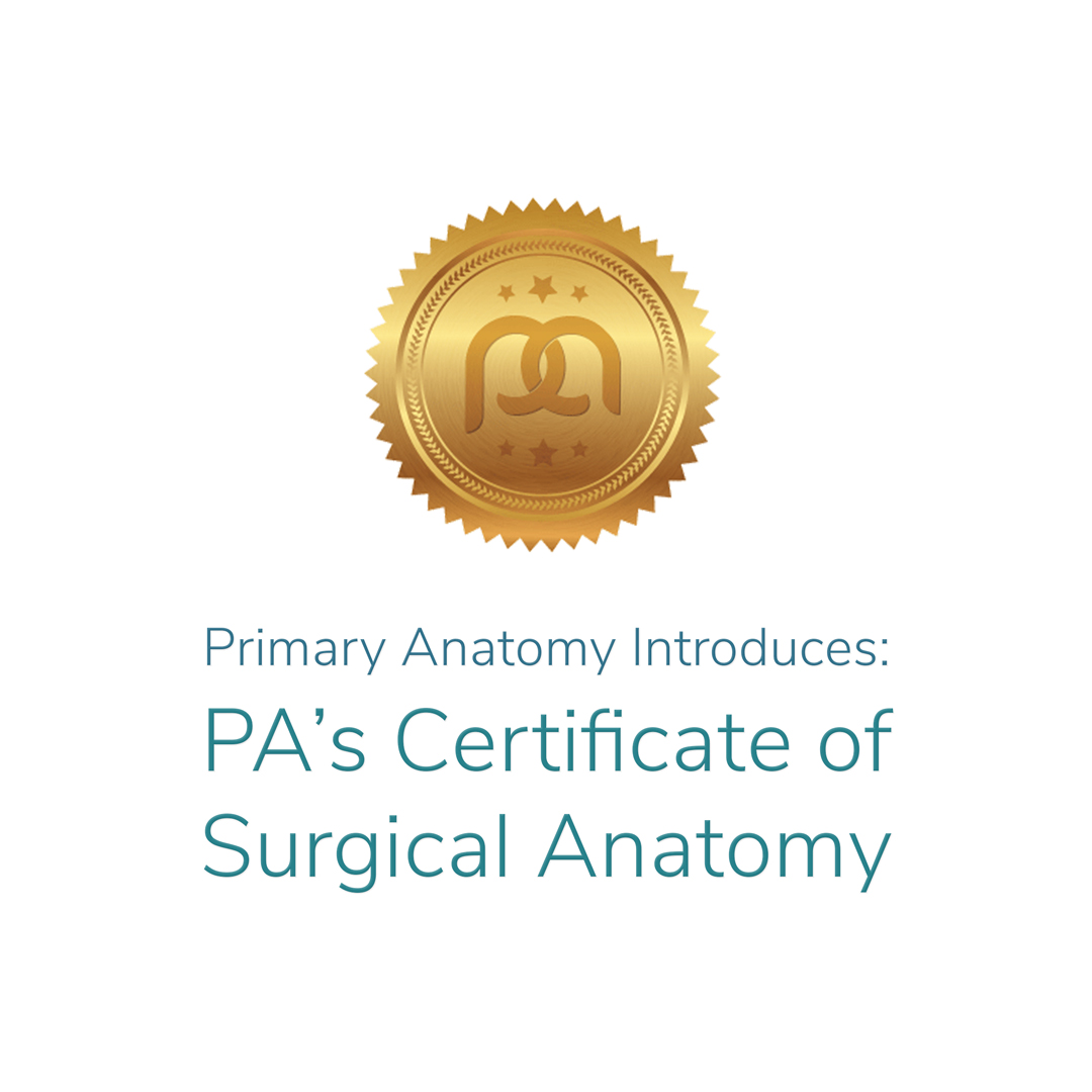 Primary Anatomy’s Certificate of Surgical Anatomy Primary Anatomy is letting their members know that a Certificate of Surgical Anatomy is now available