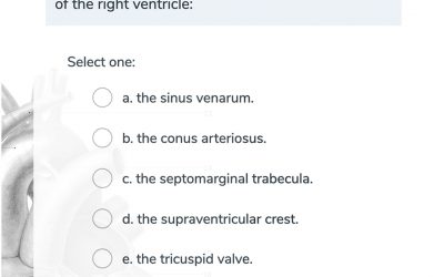 GSSE Practice Question – Single Best Answer!
