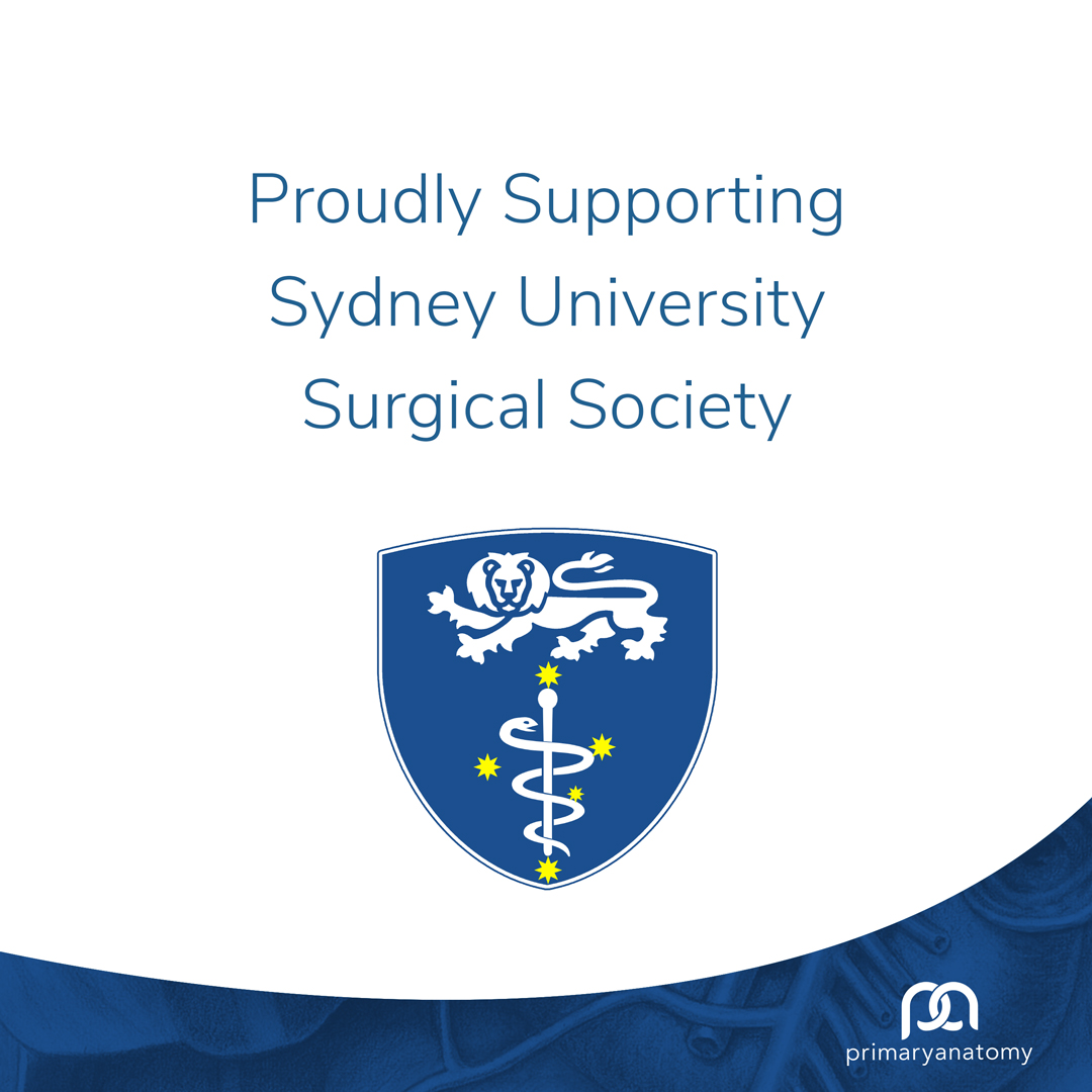 Primary-Anatomy-Supporting-SUSSS-2021