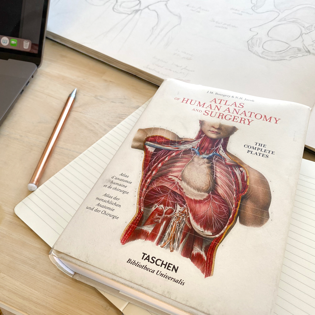 GSSE Study – Primary Anatomy – GSSE Question – GSSE Question Ban