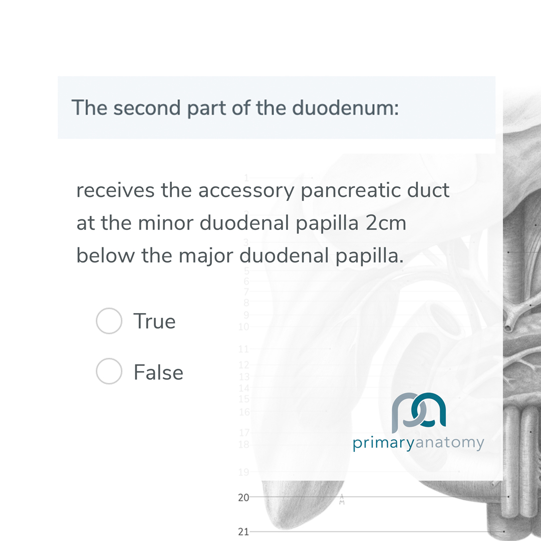 GSSE Question Bank – Primary Anatomy – Duodenum