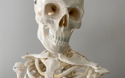 Weekly Instagram Quiz!