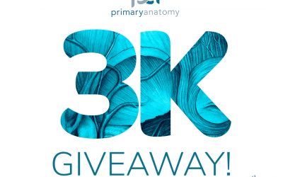 3K GIVEAWAY!