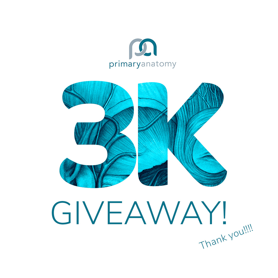 Primary Anatomy 3000 Followers! GSSE Subscription Giveaway