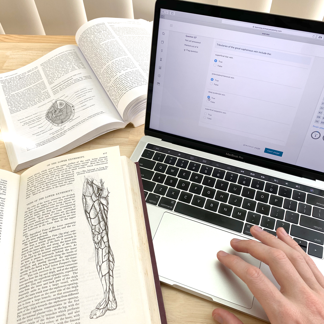 Anatomy for the Generic Surgical Sciences Exam (GSSE) – GSSE Ana