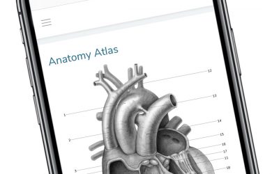 Primary Anatomy Atlas