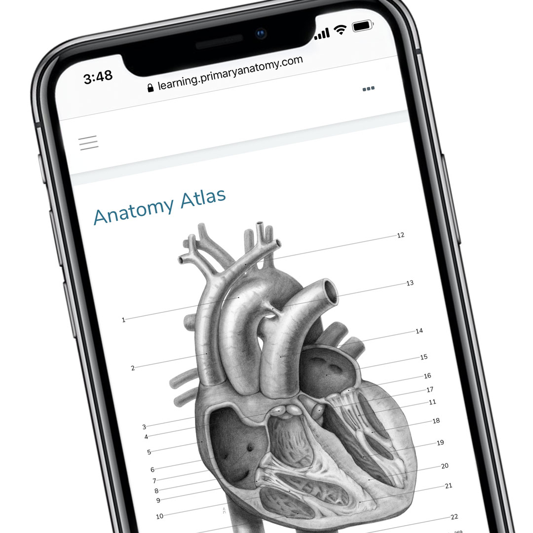 Primary-Anatomy-Atlas