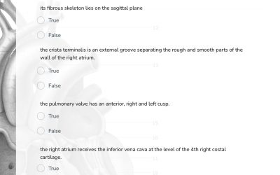 GSSE Practice Questions