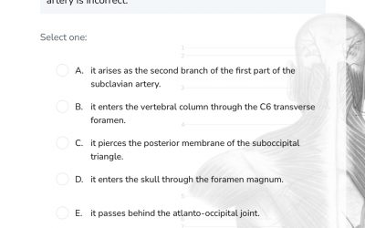 GSSE questions – Back & Spine