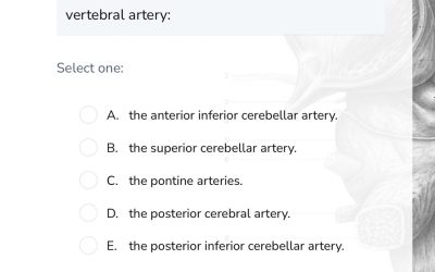 GSSE Anatomy Questions