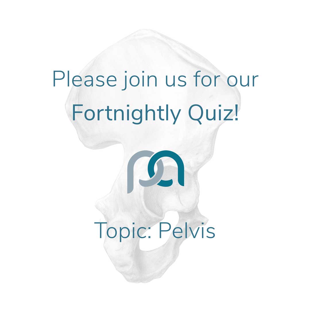 Primary-Anatomy-GSSE-Study-Timetable!