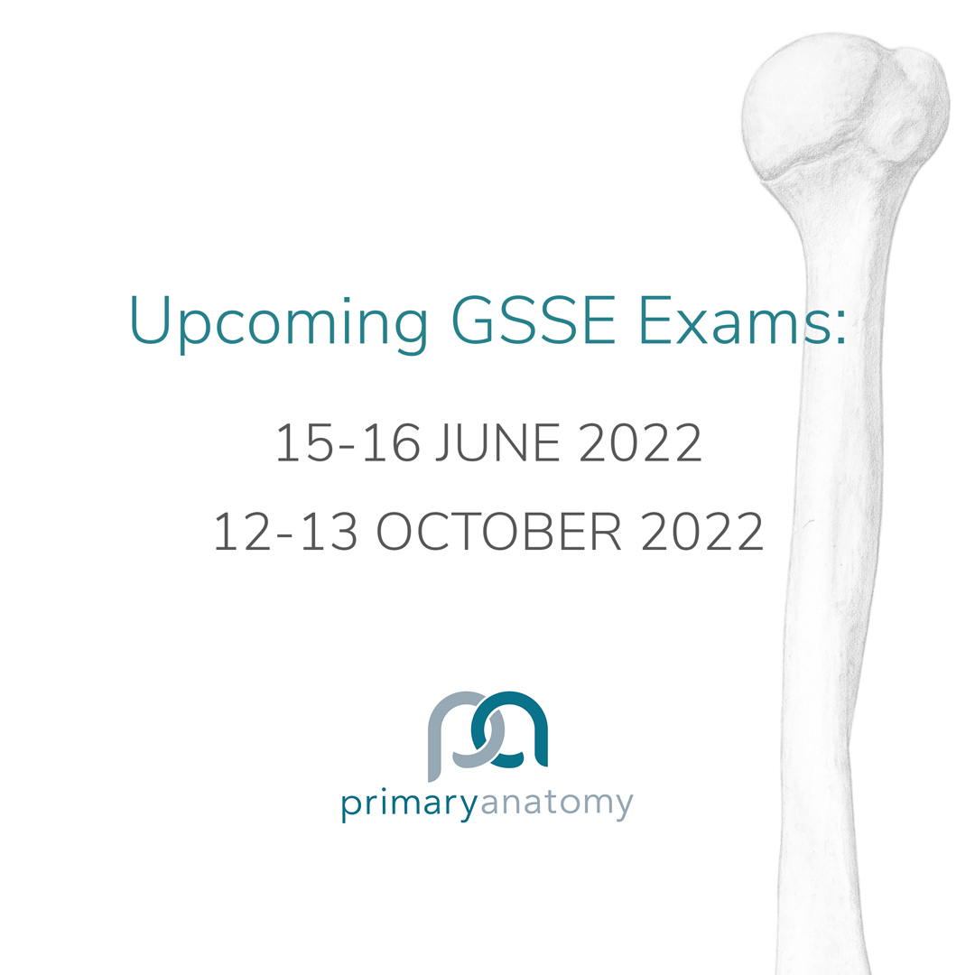 GSSE Exam Dates 2022 – Primary Anatomy