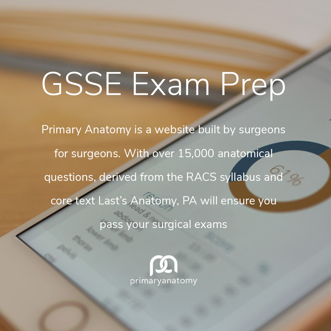 GSSE Exam Preparation (RACS Generic Surgical Sciences Exam) – Pi